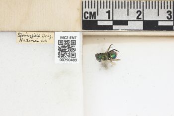 Media type: image;   Entomology 790489 Aspect: Labels